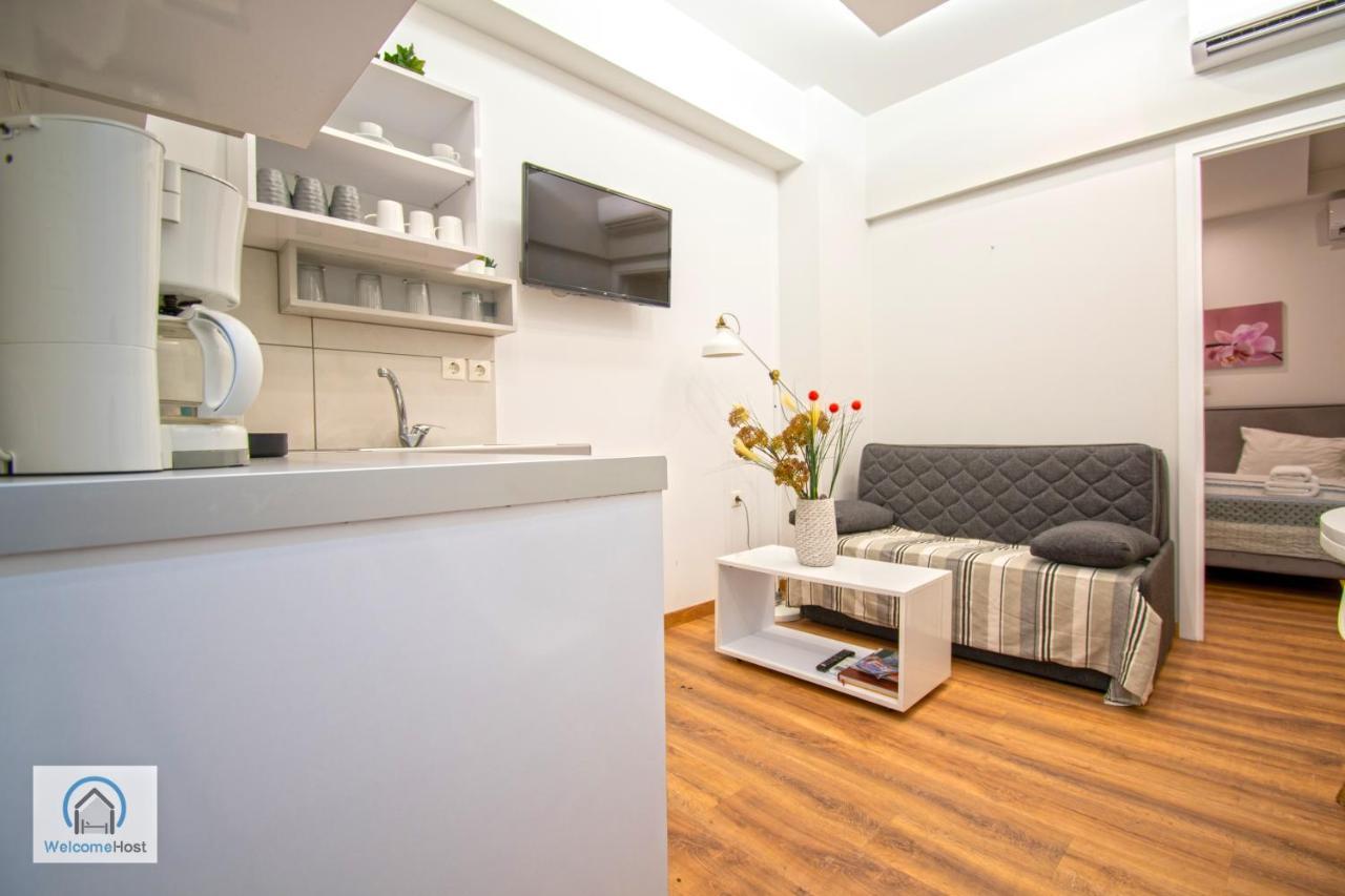 Syntagma Square Athenian Apartment
